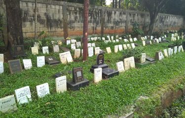 Jasa Penguburan Hewan di Jogja